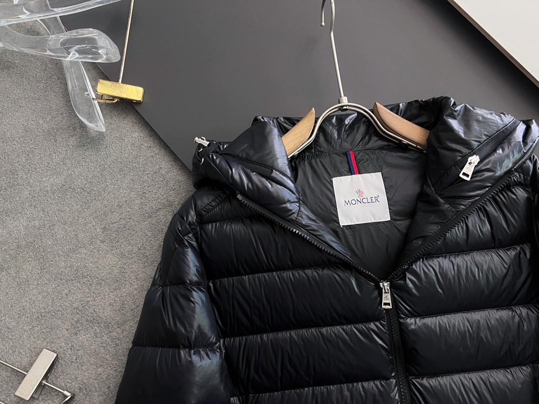 Louis Vuitton Down Jackets